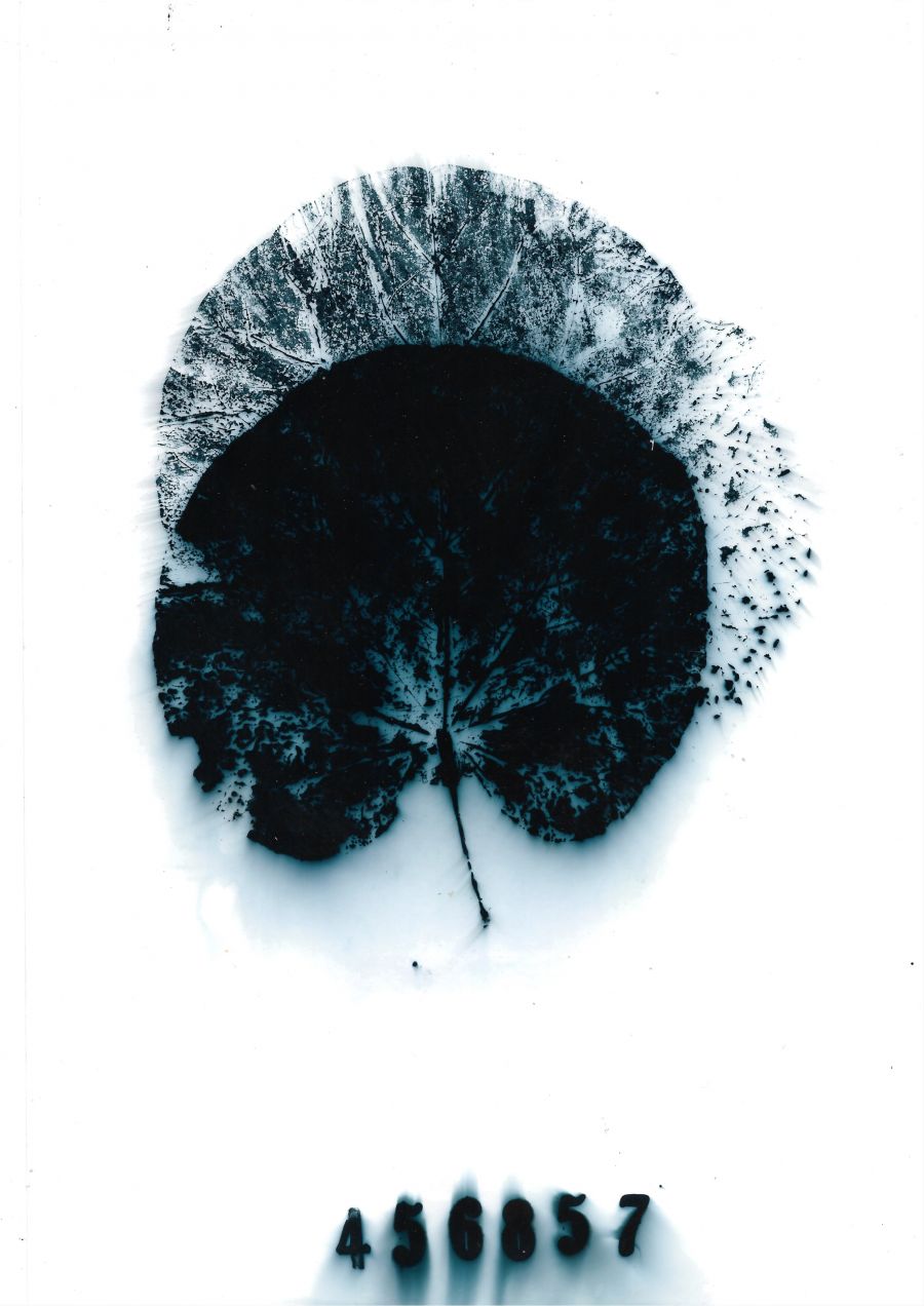 soul leaf emilio nanni 2023