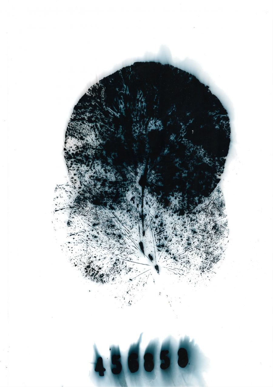 soul leaf emilio nanni 2023 (2)